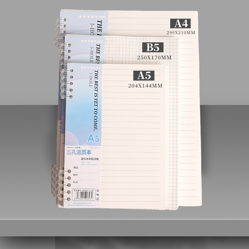 Ricarica per quaderno a fogli  - A5 Spiral Dotted Grid Notebook recensione e prezzo