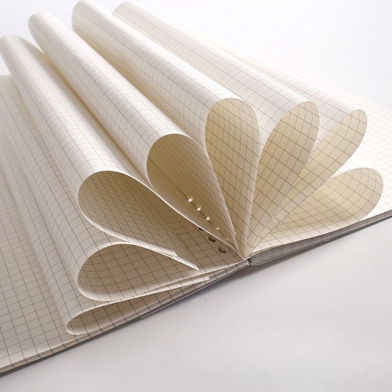Ricarica per quaderno a fogli  - A5 Spiral Dotted Grid Notebook recensione e prezzo