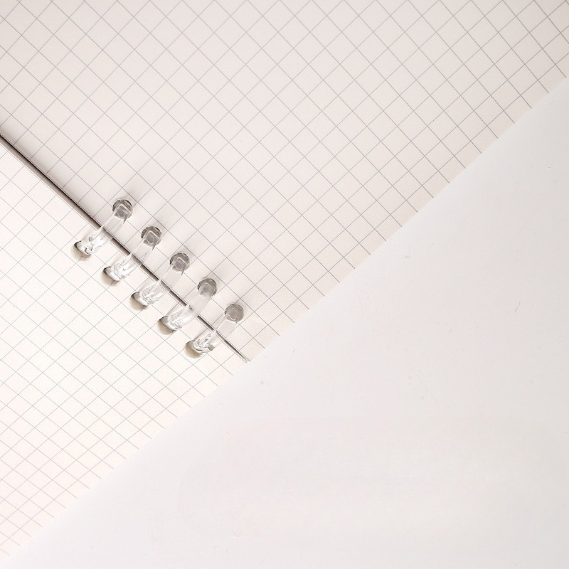 Ricarica per quaderno a fogli  - A5 Spiral Dotted Grid Notebook recensione e prezzo